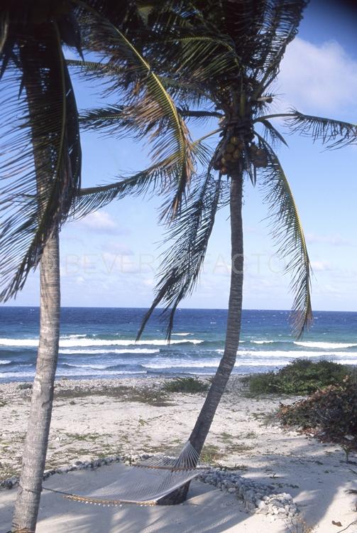 Islands;Hammock;cayman brac;cayman island;sand;water;sky